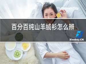百分百纯山羊绒衫怎么辨别