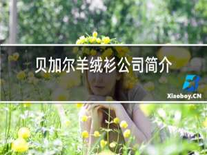 贝加尔羊绒衫公司简介