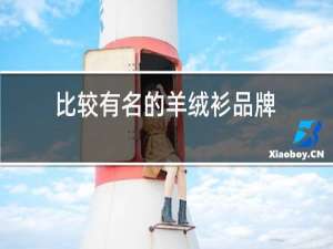 比较有名的羊绒衫品牌