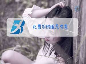 北面羽绒服尺寸表