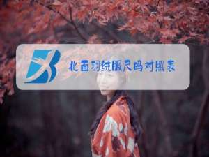 北面羽绒服尺码对照表