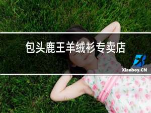 包头鹿王羊绒衫专卖店