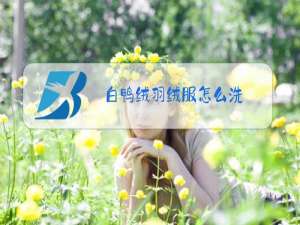 白鸭绒羽绒服怎么洗
