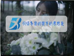 词语冬装的装字的意思是什么