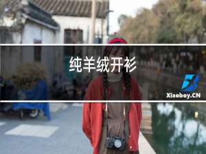 纯羊绒开衫