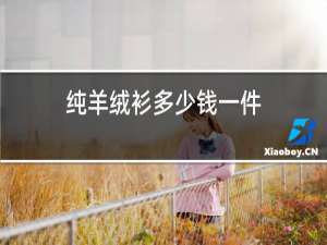 纯羊绒衫多少钱一件