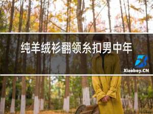 纯羊绒衫翻领糸扣男中年商务款