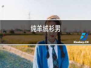 纯羊绒衫男