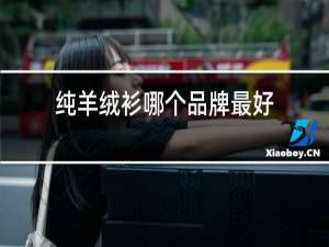 纯羊绒衫哪个品牌最好