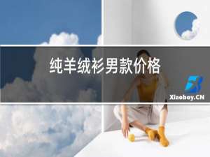 纯羊绒衫男款价格