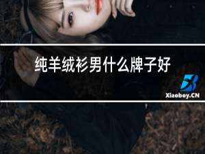 纯羊绒衫男什么牌子好