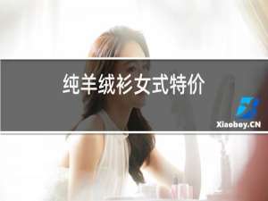 纯羊绒衫女式特价