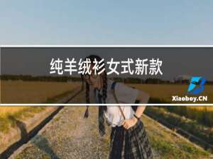 纯羊绒衫女式新款