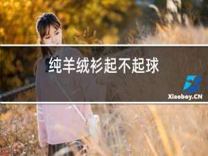 纯羊绒衫起不起球