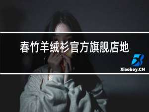 春竹羊绒衫官方旗舰店地址