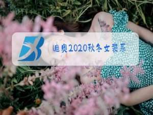 迪奥2020秋冬女装系列秀