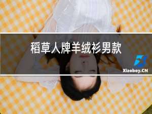 稻草人牌羊绒衫男款