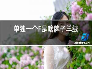 单独一个F是啥牌子羊绒衫