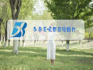 冬季毛呢套装裙图片