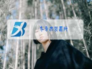 冬季西装面料