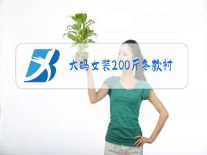 大码女装200斤冬款衬衣