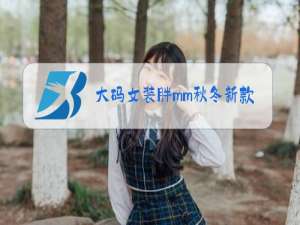 大码女装胖mm秋冬新款