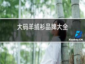 大码羊绒衫品牌大全