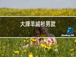 大牌羊绒衫男款