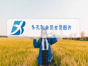 冬天职业装女装图片
