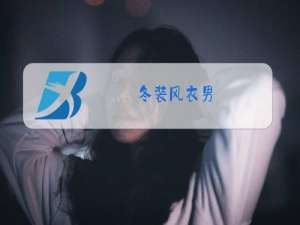 冬装风衣男