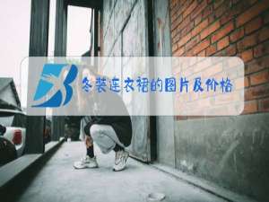 冬装连衣裙的图片及价格格子