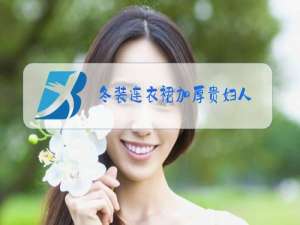 冬装连衣裙加厚贵妇人