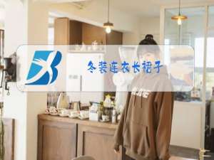 冬装连衣长裙子