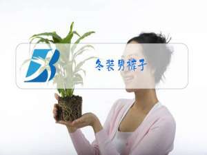 冬装男裤子