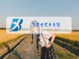 冬装女式半身裙