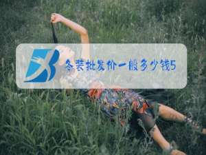 冬装批发价一般多少钱5O岁左右