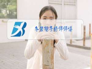 冬装裙子好评评语