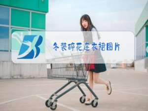 冬装碎花连衣裙图片