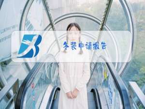 冬装申请报告