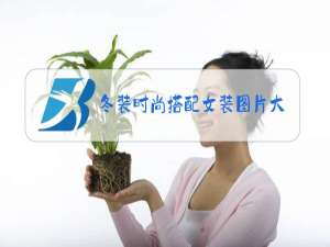 冬装时尚搭配女装图片大全休闲