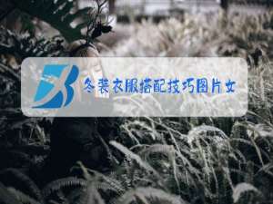 冬装衣服搭配技巧图片女装