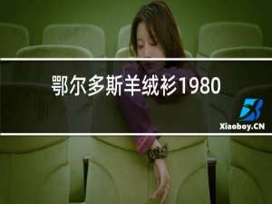 鄂尔多斯羊绒衫1980是什么意思