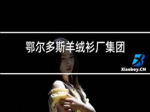 鄂尔多斯羊绒衫厂集团