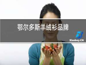 鄂尔多斯羊绒衫品牌