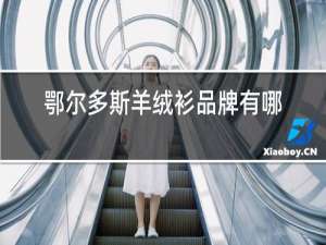 鄂尔多斯羊绒衫品牌有哪些