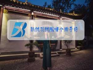 鹅绒羽绒服哪个牌子好