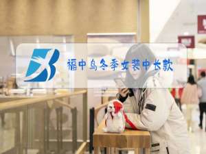 福中鸟冬季女装中长款