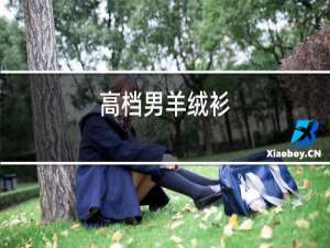 高档男羊绒衫