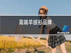 高档羊绒衫品牌