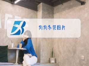 狗狗冬装图片